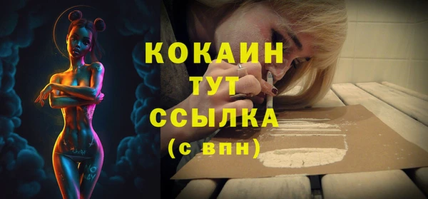 PSILOCYBIN Аркадак