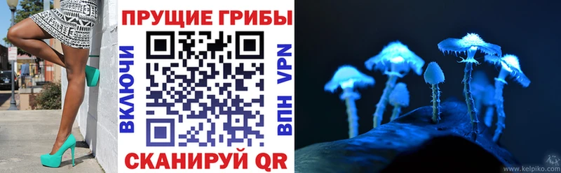 Галлюциногенные грибы ЛСД Саянск
