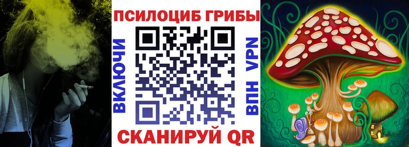 Псилоцибиновые грибы MAGIC MUSHROOMS Купить Саянск
